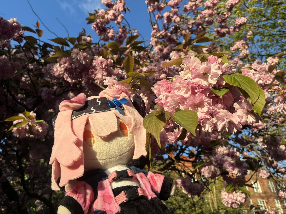 UndeadBird004's tweet photo. 软绵绵的澄闪与花……！
真是太可爱了🥺 https://t.co/vxfIZQlYlt