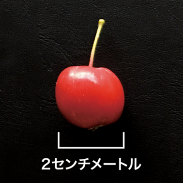 NARO_JP's tweet photo. 突然ですが、クイズです！！
これ、みんががよく食べている
くだものの昔の姿。
なーーーんだ？？
 
ぜひ、答えをコメントしてください👂 https://t.co/sqrh0Tfgz9
