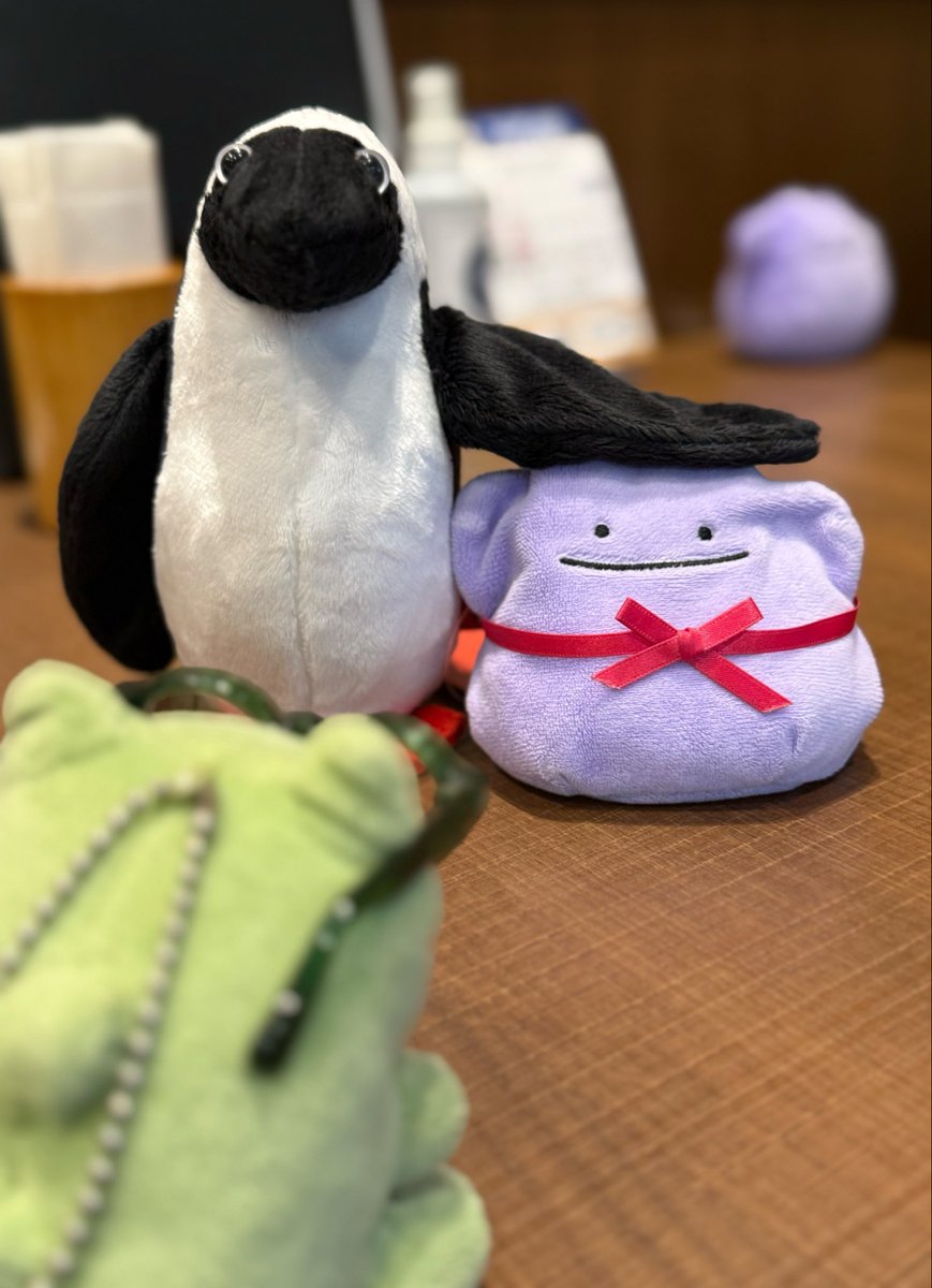 hiro6_otoge's tweet photo. 今日のまとめ

・お釜のご飯美味い
・ブービーちゃんお迎え
・サイフォンで作った珈琲うまい
・ﾃﾇﾗ欲しい https://t.co/RZ2VbC3IqY
