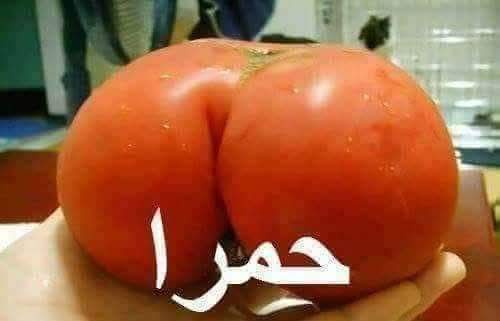 abusaged2006's tweet photo. @RamadanHassan99 https://t.co/gLRmAZUarz