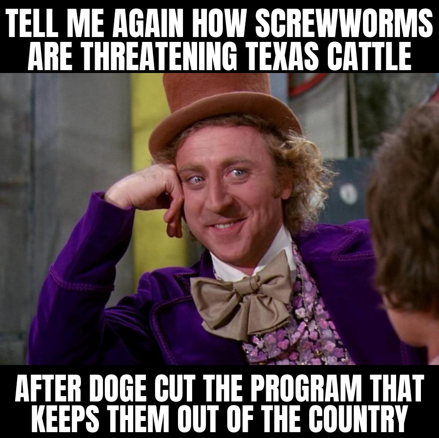ejacobson's tweet photo. #Trump and #DOGE letting foreign flesh eating parasites into the country before foreign people is peak racism AND peak stupidity at the same time. Texas cattle ranchers should personally sue Elon Musk when this collapes the American agriculture industry. https://t.co/Xq5TNR4vMH