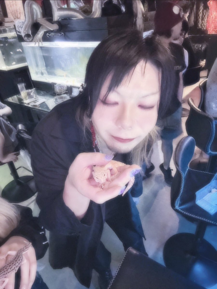 jen_gorilla's tweet photo. 爬虫類バー行ってきた https://t.co/LbIu9KntuB