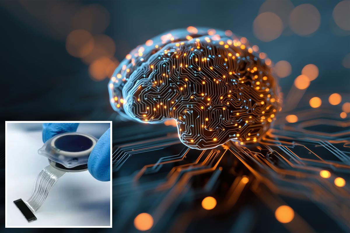 nypost's tweet photo. China beats Elon Musk to launch world's first commercial brain chip https://t.co/wisN6ONIUZ https://t.co/GJDAxmqCVB