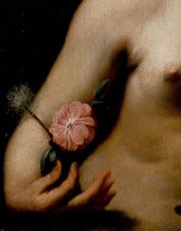 GodsWhisper777's tweet photo. Details: Vanitas, 1645, by Cagnacci Guido (1601-1682). https://t.co/J9jn77hx7R