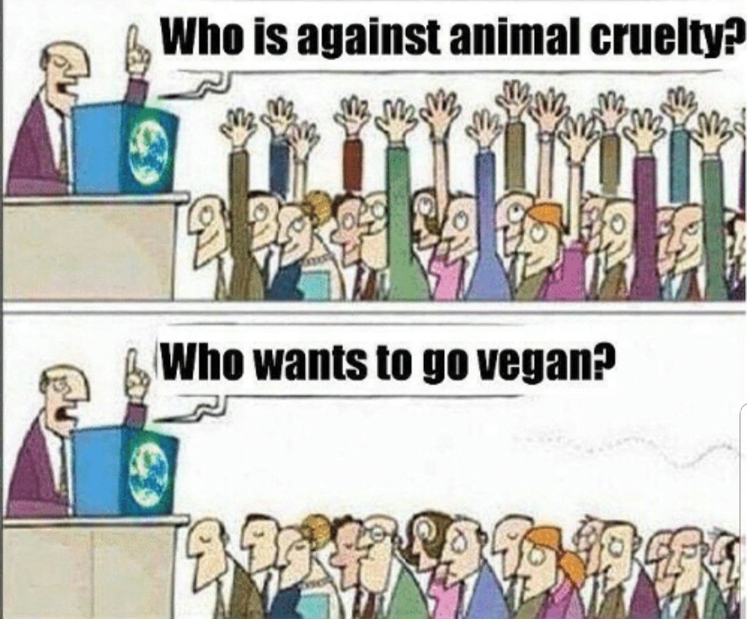 scorpiotiger's tweet photo. @NothingIsArt cultural indoctrination about animals is so deep and so justified by https://t.co/8b7s5jM59X
