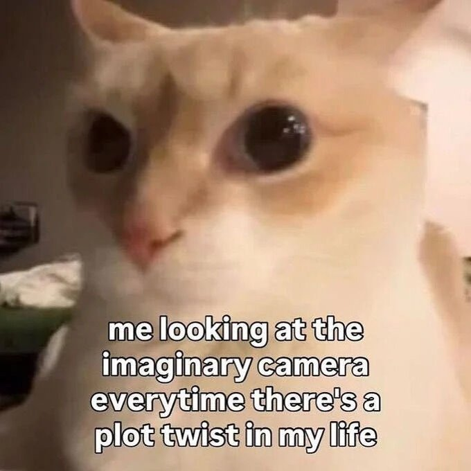 RealestMemes_'s tweet photo. https://t.co/MshdNdmIy0