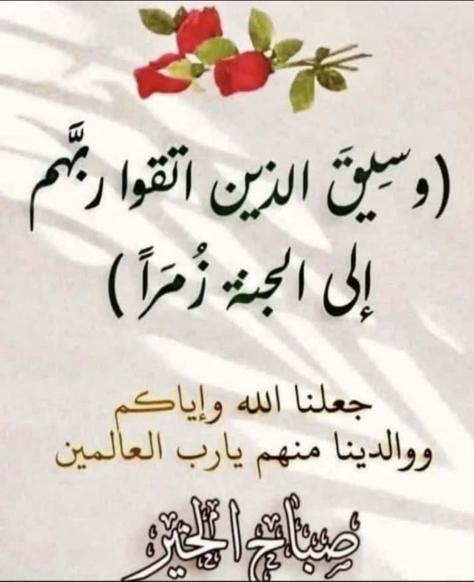 53388read's tweet photo. @wronF85475903 https://t.co/IQHOpK9LPh