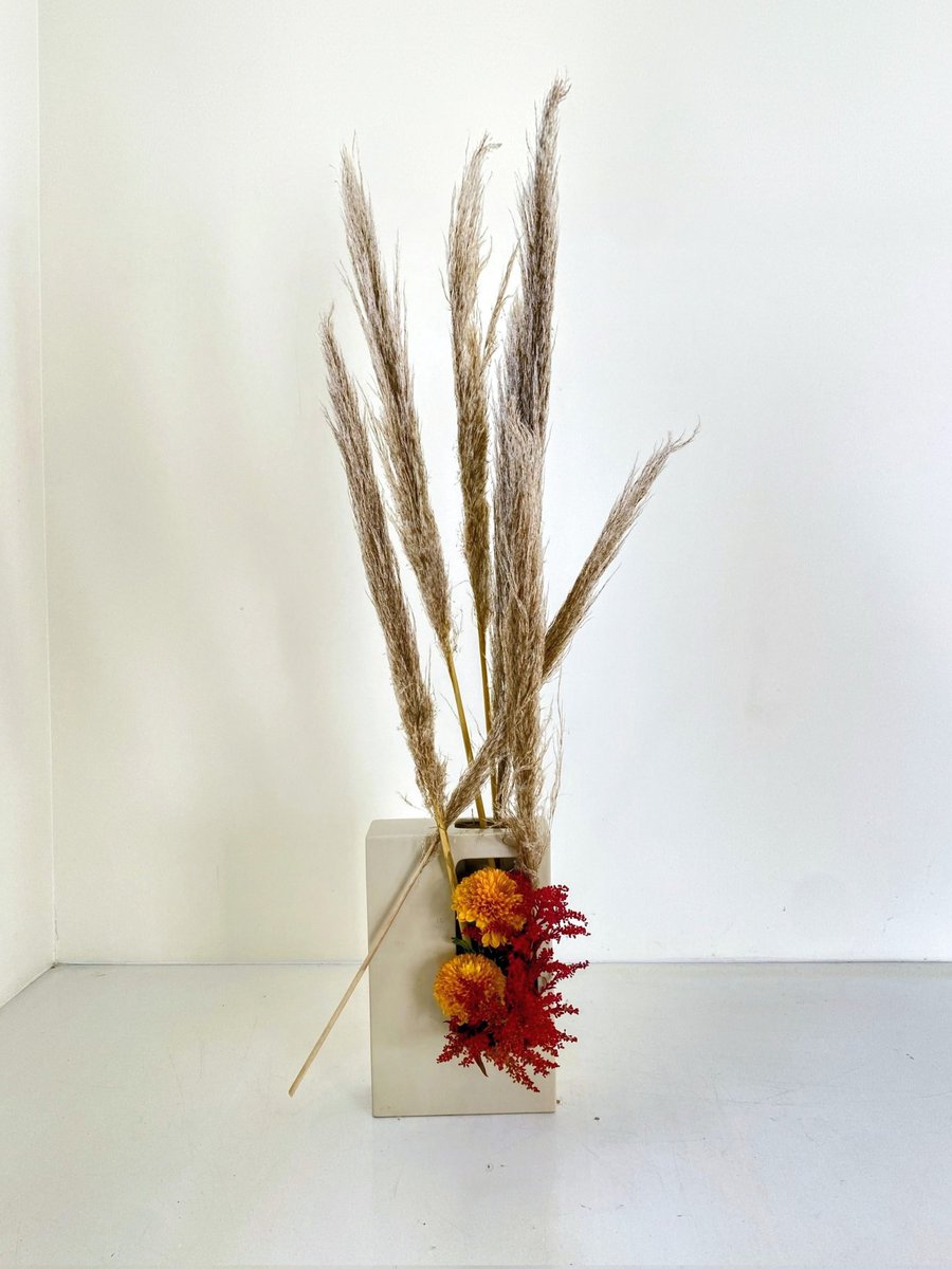 theikebanashop's tweet photo. Free-Style Arrangement by Odessa G. #studentwork #ikebana #sogetsu #Halifax #Quinpool https://t.co/pMAtyWbjrA