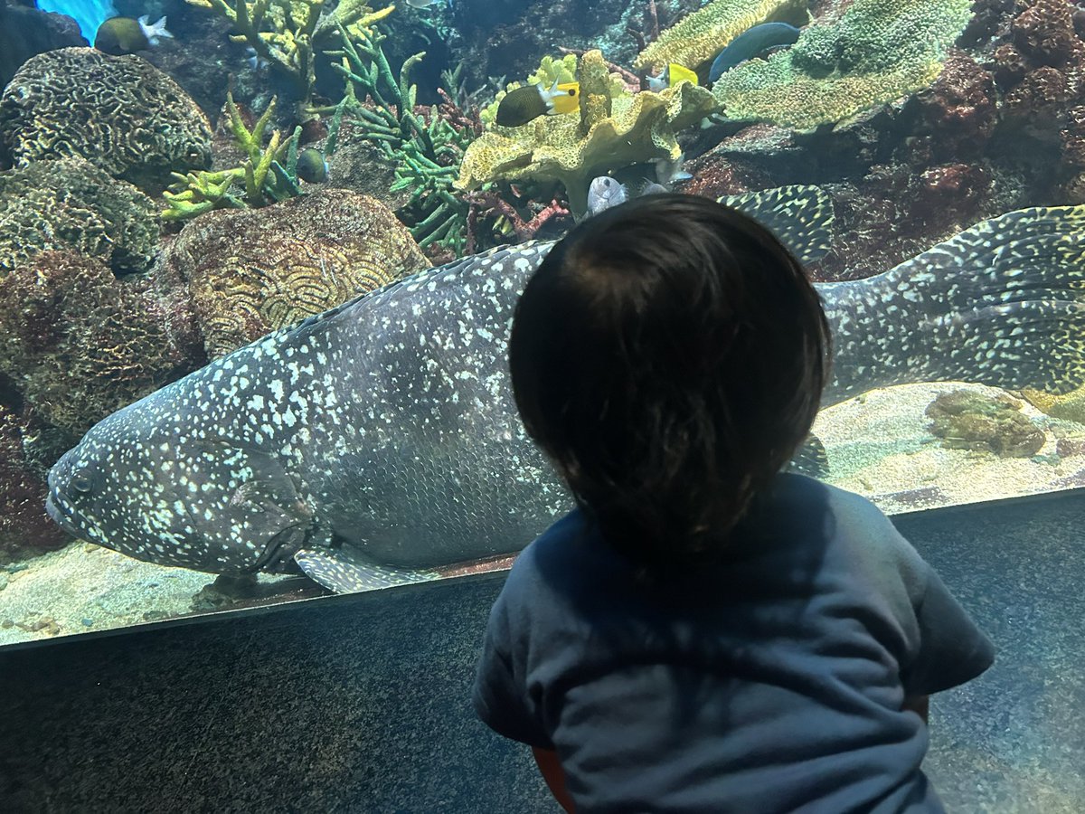 ziginger_z's tweet photo. これぞ鹿児島って感じからいおワールド https://t.co/hUKcgKSeNx