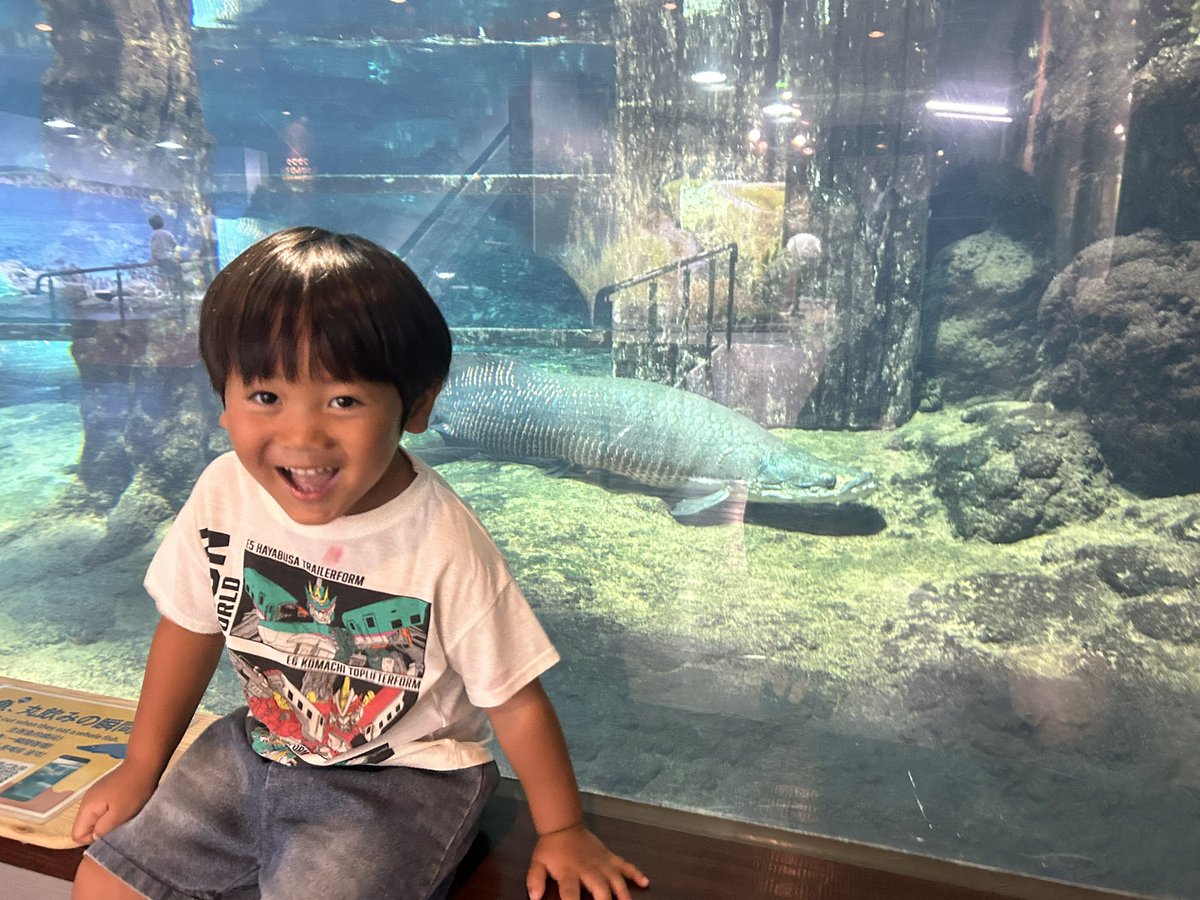 ziginger_z's tweet photo. これぞ鹿児島って感じからいおワールド https://t.co/hUKcgKSeNx