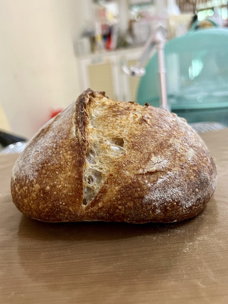 zhang_cc's tweet photo. Just nailed my first homemade sourdough loaf  Crusty exterior, airy crumb, and a kitchen full of warm baking vibes—best weekend win ever! https://t.co/MBavj1hwp6