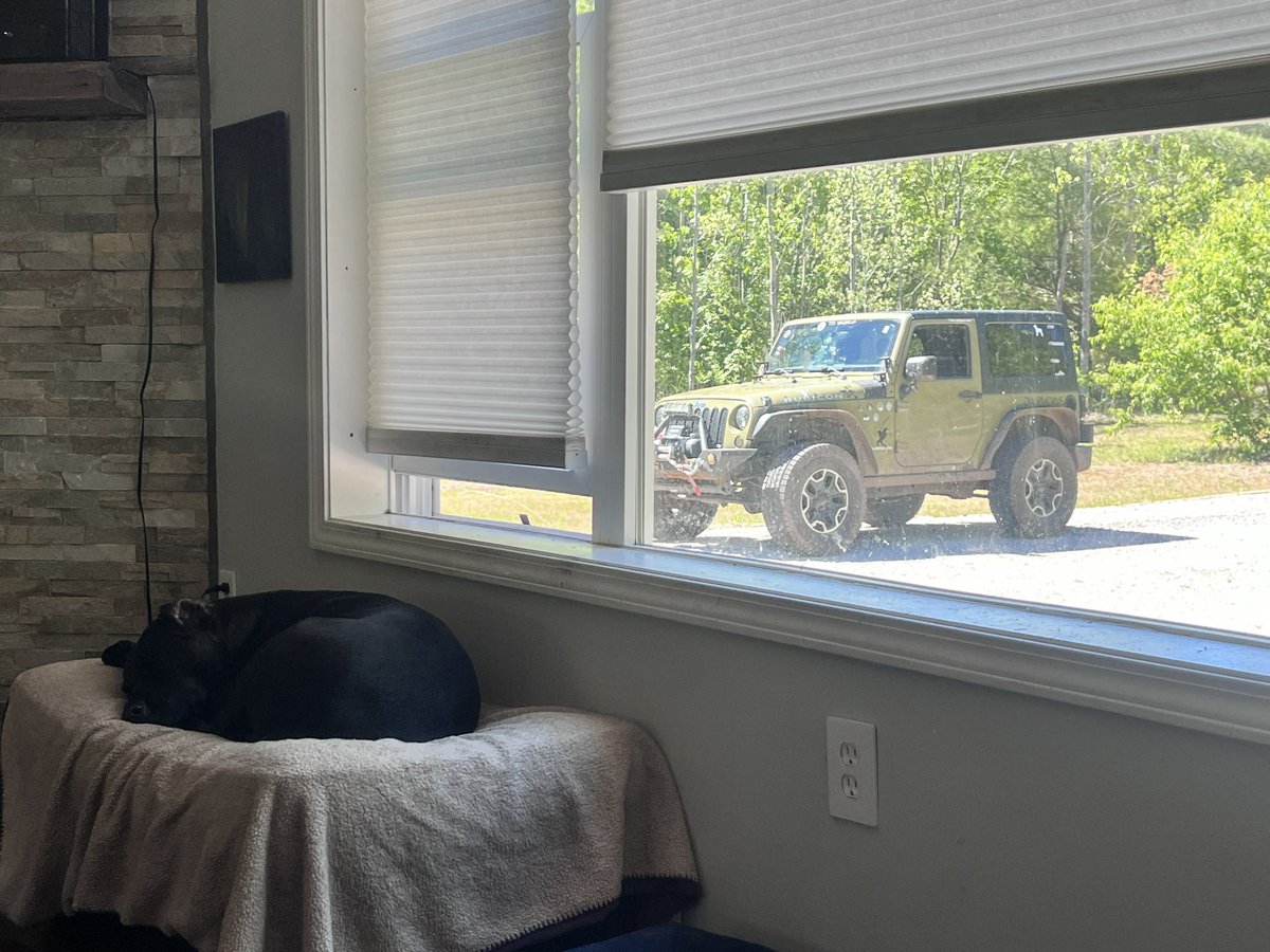 grundgetta49769's tweet photo. Hard to beat #dogs and #jeeps on a lazy Sunday. 🙏🏽🙏🏽🥲 https://t.co/CjH2Ubz78L