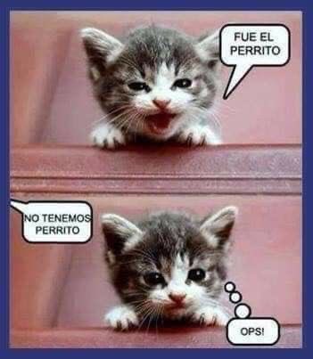 coolfunnnn's tweet photo. LO DESCUBRIERON!!!! SU MENTIRA FUE DESCUBIERTA!!! el es el culpable!!!!!!! https://t.co/JuepWF9xQr
