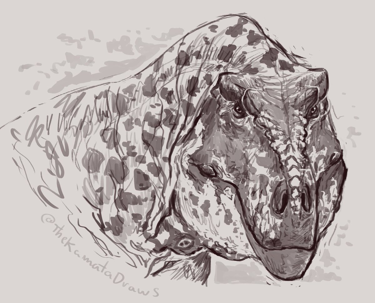 TheKamataDraws's tweet photo. feeling very sick rn so I'll be posting the doodles I did these days.. https://t.co/oT0jYxcUgX