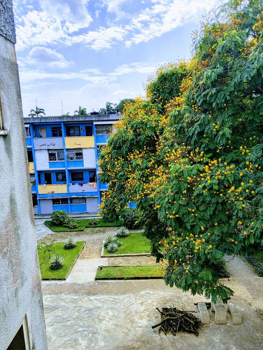 RxData_'s tweet photo. Lagos,🇳🇬 https://t.co/IKJImwU1wc