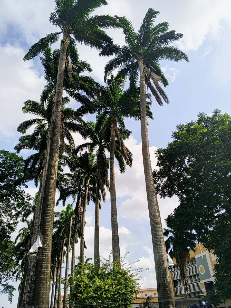 RxData_'s tweet photo. Lagos,🇳🇬 https://t.co/IKJImwU1wc