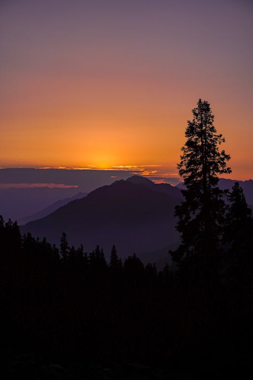 eyechanged's tweet photo. 🌅 Woke up early and watched the sunrise.

Funny how markets work the same way.

Most people only notice trends after they're already visible.

#Life #Trading #Growth https://t.co/KfVtQqbsqX