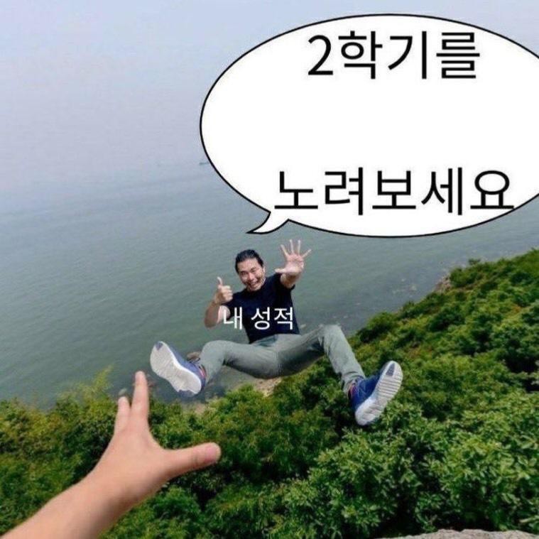 검정 콩코로콩 tweet media