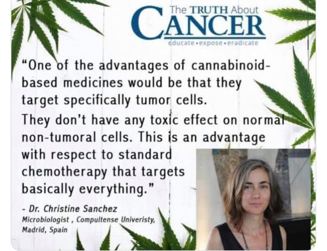 rogueherbalism's tweet photo. It’s our duty as medical professionals to help patients weigh risk vs benefit of ALL possible treatment options. When cannabis with its unsurpassed safety profile and amazing efficacy is included in the equation, it’s often the first logical choice. #patientautonomy #cannabis #cannabisismedicine #cannabiseducator
Receipts: https://t.co/6s63YxrHOe
X-Space recording on this topic: https://t.co/GaJTWyHgJf