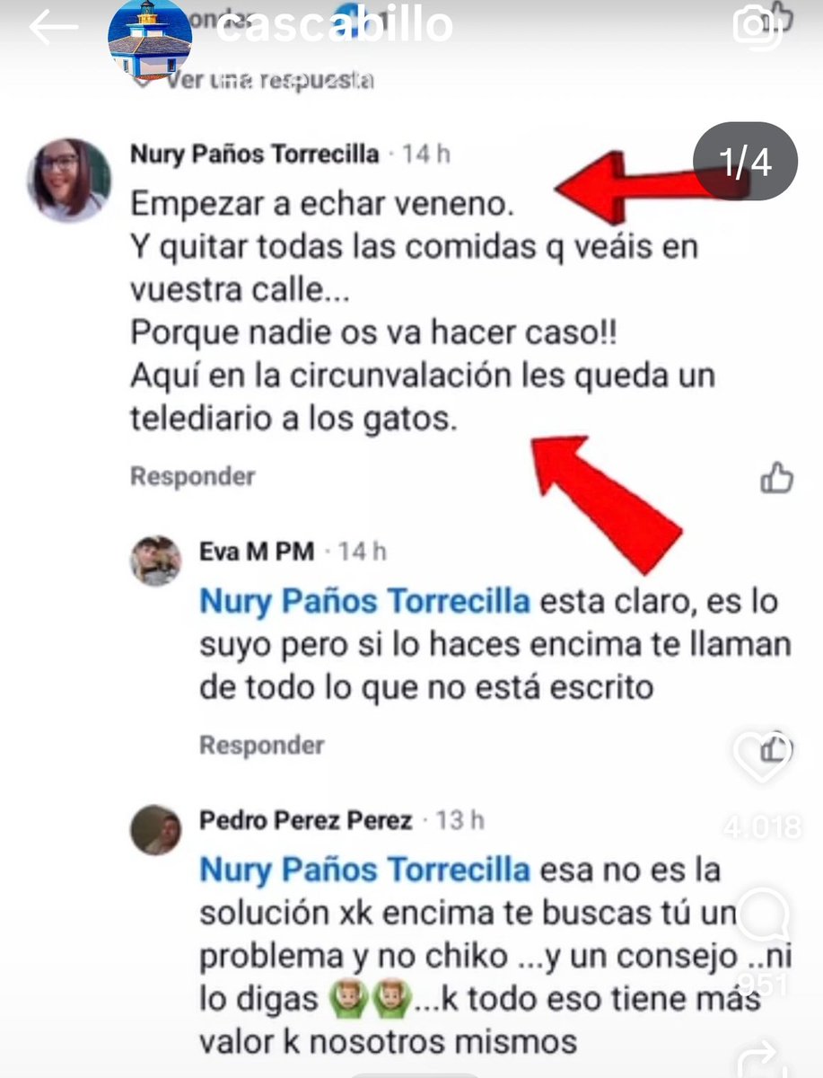 PalomadelrioTVE's tweet photo. @aytosanclemente Esta vecina vuestra está envenenando gatos. Como la han pillado, ha cambiado su cuenta de Facebook y se hace llamar Torrecilla Panos Nurichi
Esto es delictivo. Y tiene el cuajo de publicarlo... Hasta que la denuncien https://t.co/woZn3Acqsy