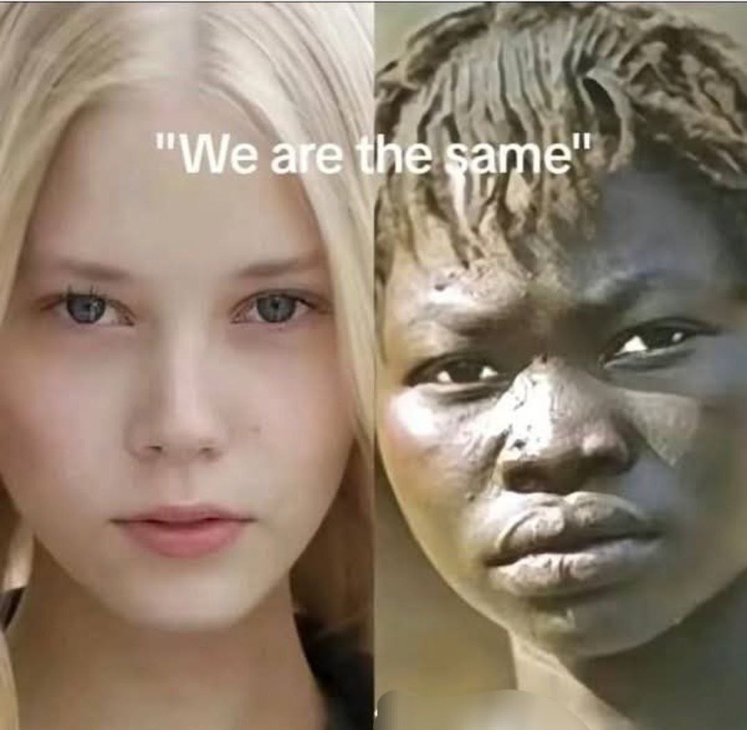 WelshJoeMarsh's tweet photo. Ethnicity is real. We are not the same. https://t.co/78FNST5pJg