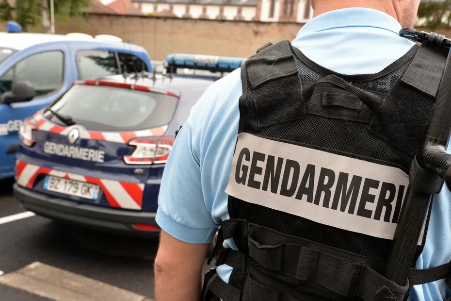 F3Alsace's tweet photo. Un nouveau-né retrouvé en bonne santé en lisière d'une forêt du Haut-Rhin après le signalement d'un témoin  https://t.co/Sn7ZA9ZXxq https://t.co/kWyOcD4m3b
