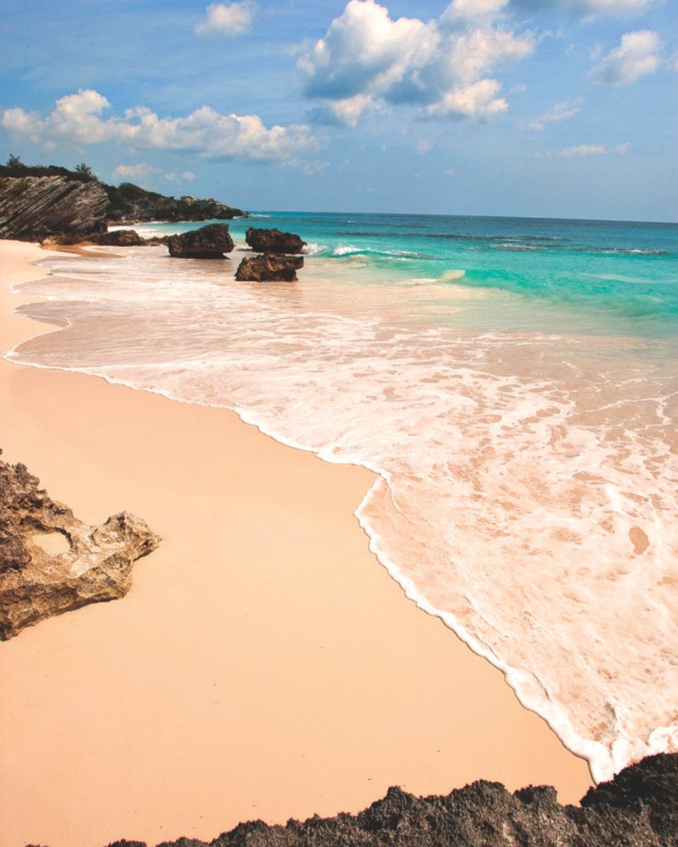 BTAInsights's tweet photo. Bermuda's nominated for the @cntraveler 2026 Readers’ Choice Awards! Help us defend our title as the #1 Island in the Atlantic for the 4th year in a row 🇧🇲

Voting is open until June 30: https://t.co/SeH205U06H

📸 mpeacockmedia (photo 1) | #GoToBermuda https://t.co/twtyJsRhws