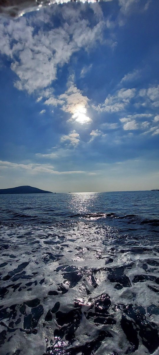bloomele_'s tweet photo. the sea always knows how to quiet the    noise. https://t.co/Crii7AalSD