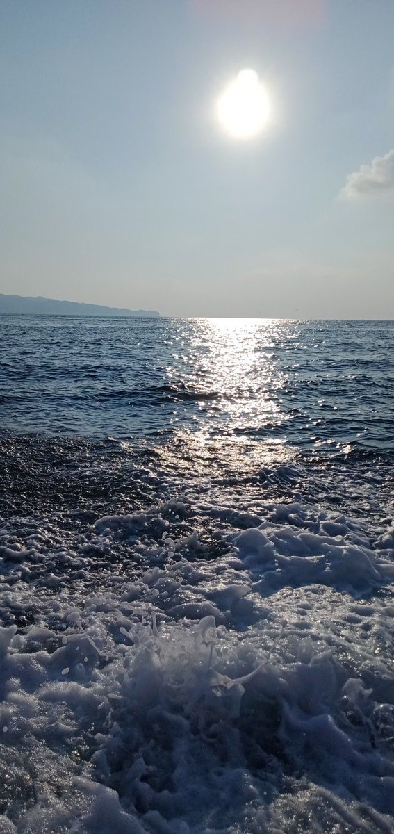 bloomele_'s tweet photo. the sea always knows how to quiet the    noise. https://t.co/Crii7AalSD