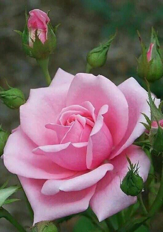 خديجه tweet media
