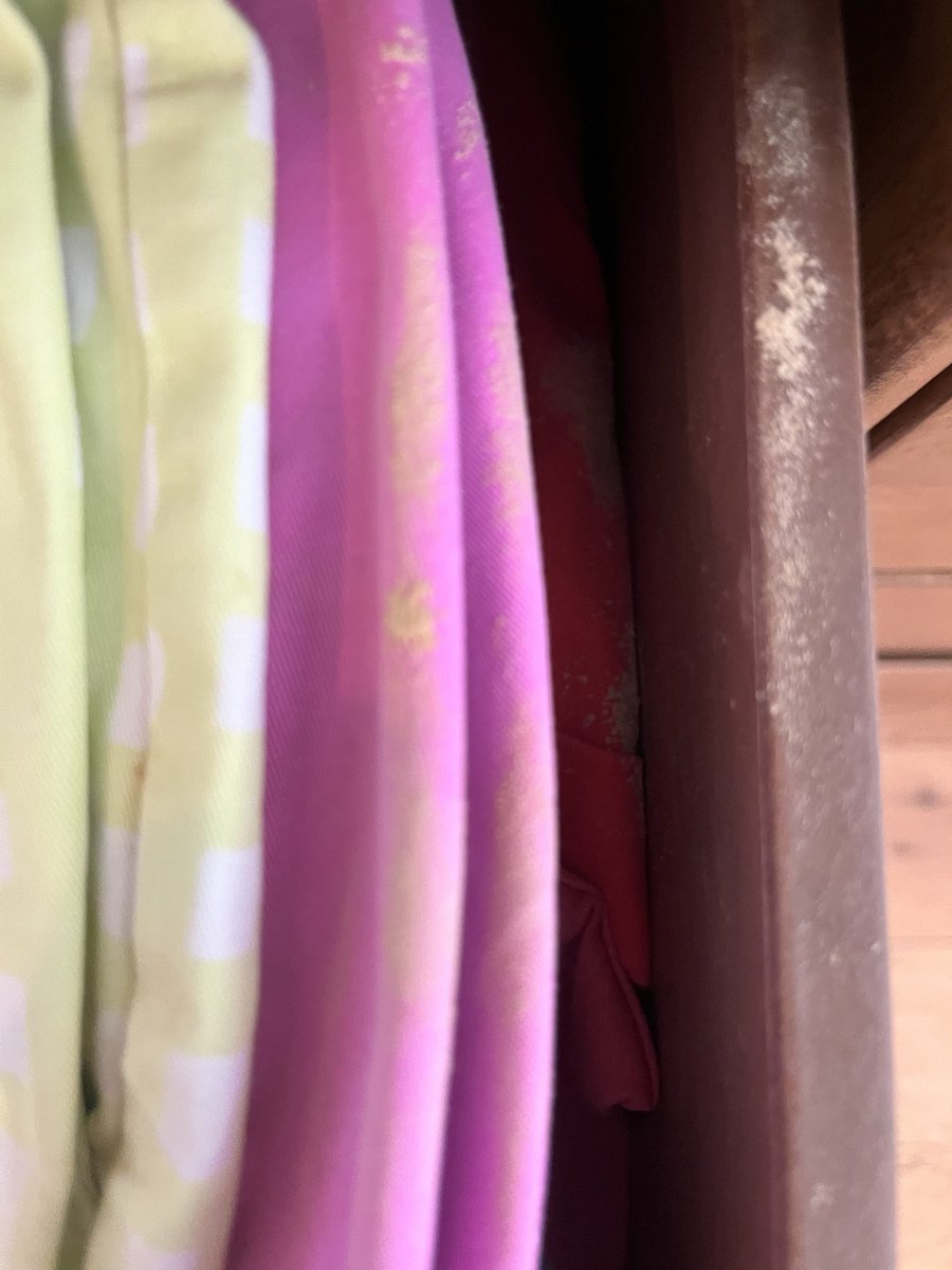 GabsR's tweet photo. @AshleyHomeStore Furniture Infested with Powder Post Beetle larvae. It takes a year or so for them to mature and crawl out, destroying the furniture in the process. DO NOT BUY AT ASHLEY HOMESTORE. BBB complaints, FTC, Sec of State. Do your homework and stay away from Ashley. https://t.co/HzatZezoaR