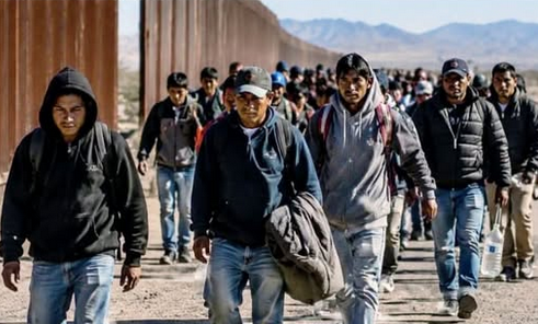Emily8094159's tweet photo. Should all illegals be removed from the census? https://t.co/jIYPGwYXDz