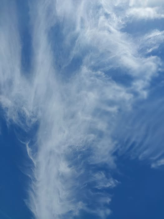 DELTA9_BACKUP's tweet photo. Lake Jordan in Alabama. #geoengineering https://t.co/UzpItzXDGI