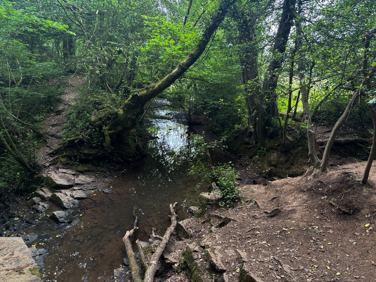 girlnthewoods's tweet photo. please lets go for a walk https://t.co/JzUnQRaXLu