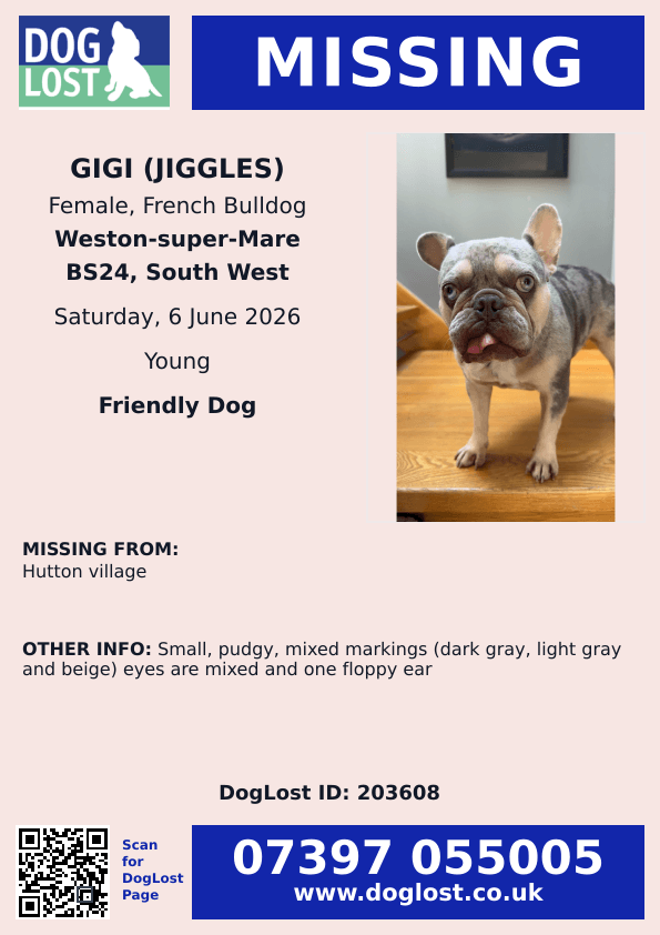 millypod1's tweet photo. 🆘6 JUNE 2026 #Lost Gigi (jiggles) #ScanMe
YOUNG French Bulldog Female #PUPPY 
Small, pudgy, mixed markings (dark gray, light gray and beige) eyes are mixed and one floppy ear

#Hutton Village #WestonSuperMare #Somerset #BS24
https://t.co/4NDXxOI7ij https://t.co/LcGWSLyDaS