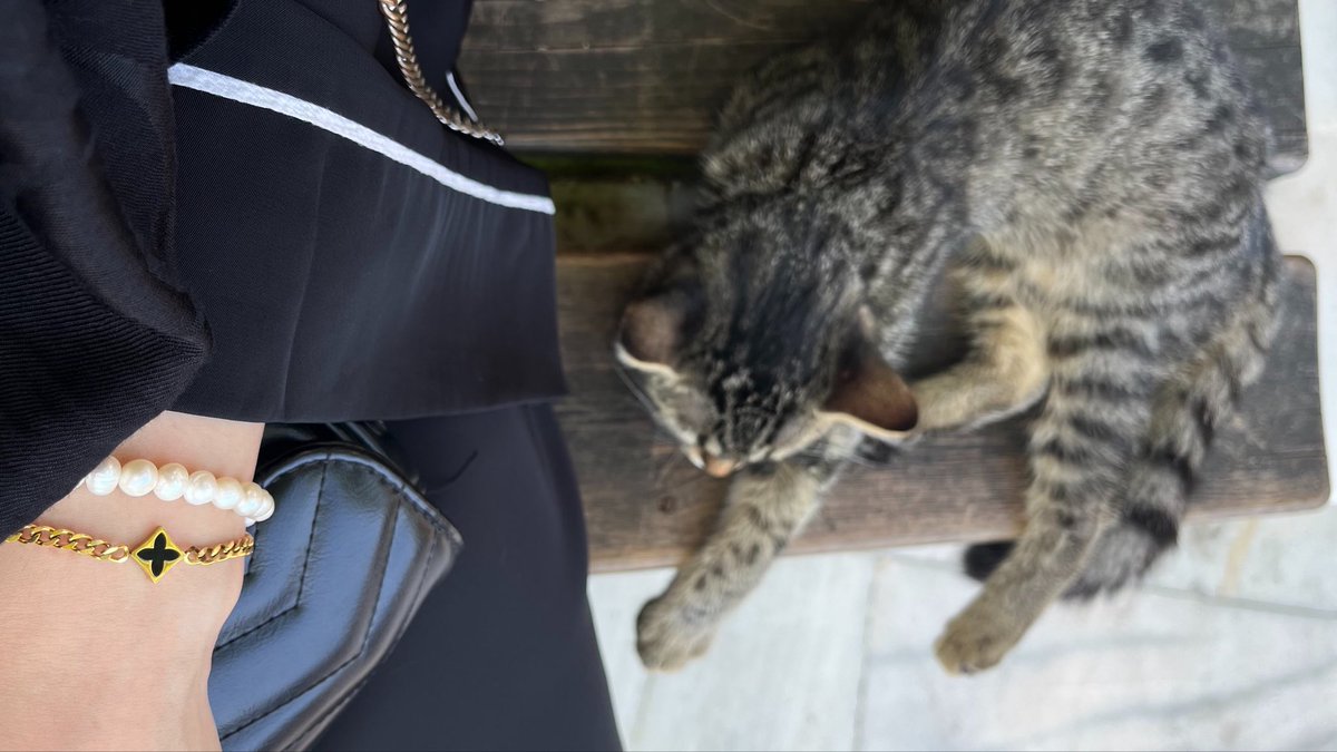 entelijansi's tweet photo. eyüp sultan ve kedi tostum 💌 https://t.co/S2TvlIFq0R
