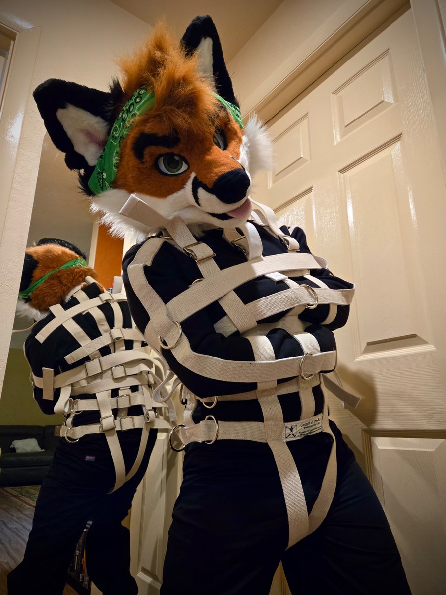 Otsoko_fox's tweet photo. Ready for a night out~
#StraitjacketSunday https://t.co/yDKPikkxCY
