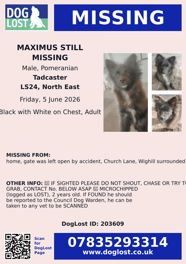 millypod1's tweet photo. 🆘5 JUNE 2026 #Lost MAXIMUS STILL MISSING #ScanMe Pomeranian Male
home gate was left open by accident,
Church Lane #Wighill surrounded by fields
#Tadcaster #NorthYorkshire #LS24
https://t.co/jvCr2BNoQv https://t.co/l6kJqhwEaV