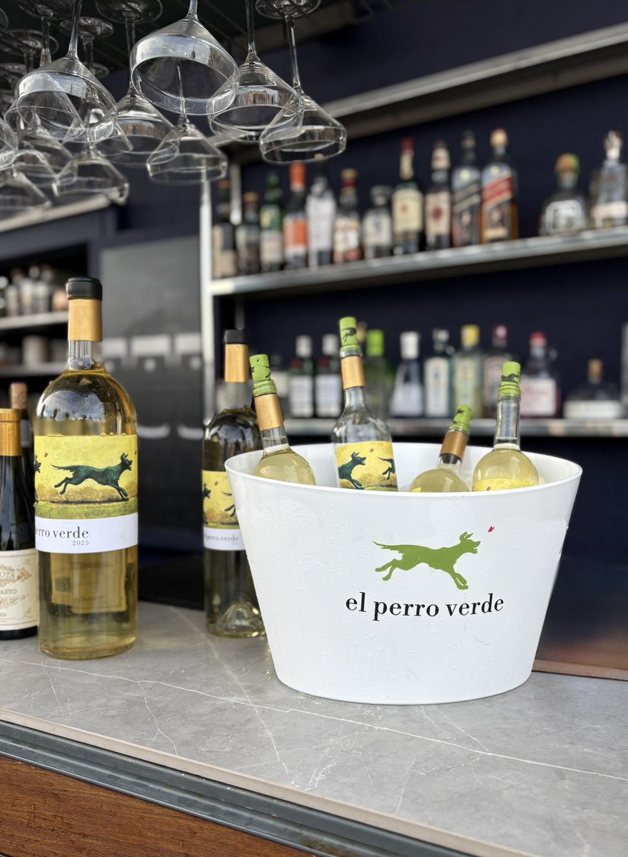 llmontia_vv's tweet photo. La setmana de les terrasses amb @perroverde_ 💚

#hotels #barcelona #rooftop #elperroverde #winelover https://t.co/0V1Ew9mFns