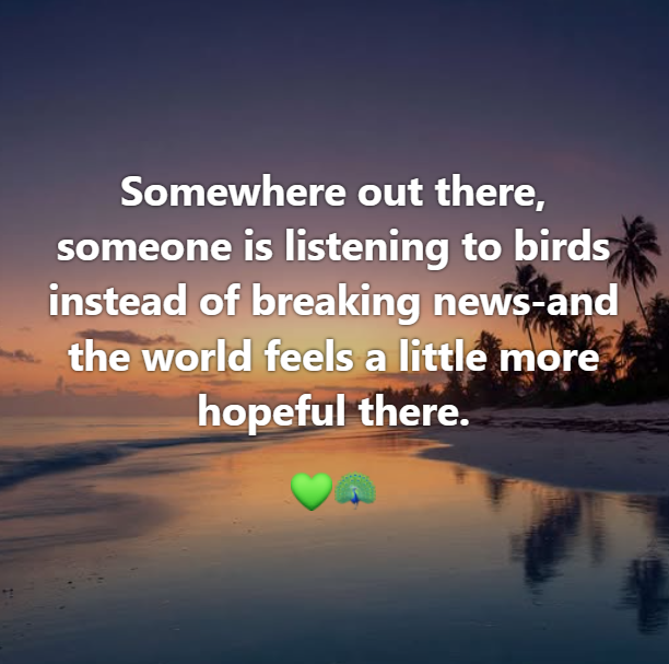 HumanistDave's tweet photo. Buddha's Teaching https://t.co/DtN8jgh05Q