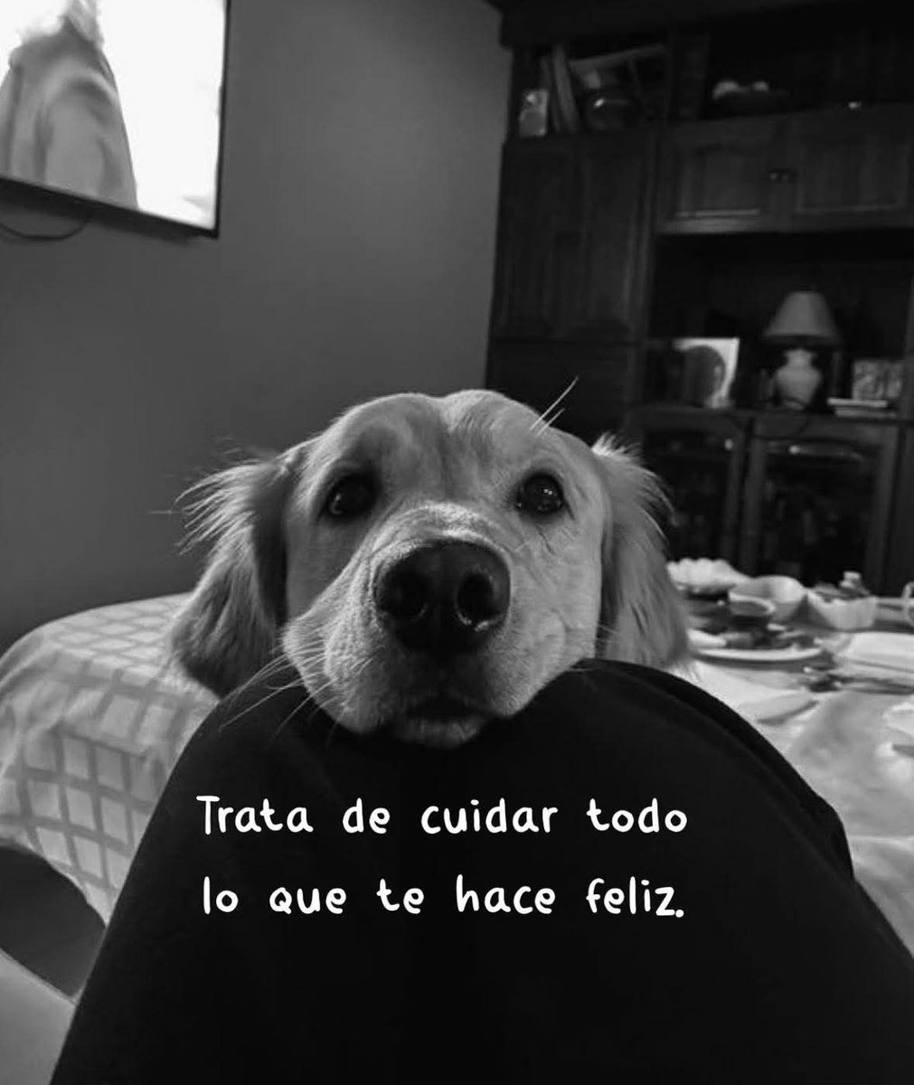 angelo_uf's tweet photo. https://t.co/qUytBgn1z0
