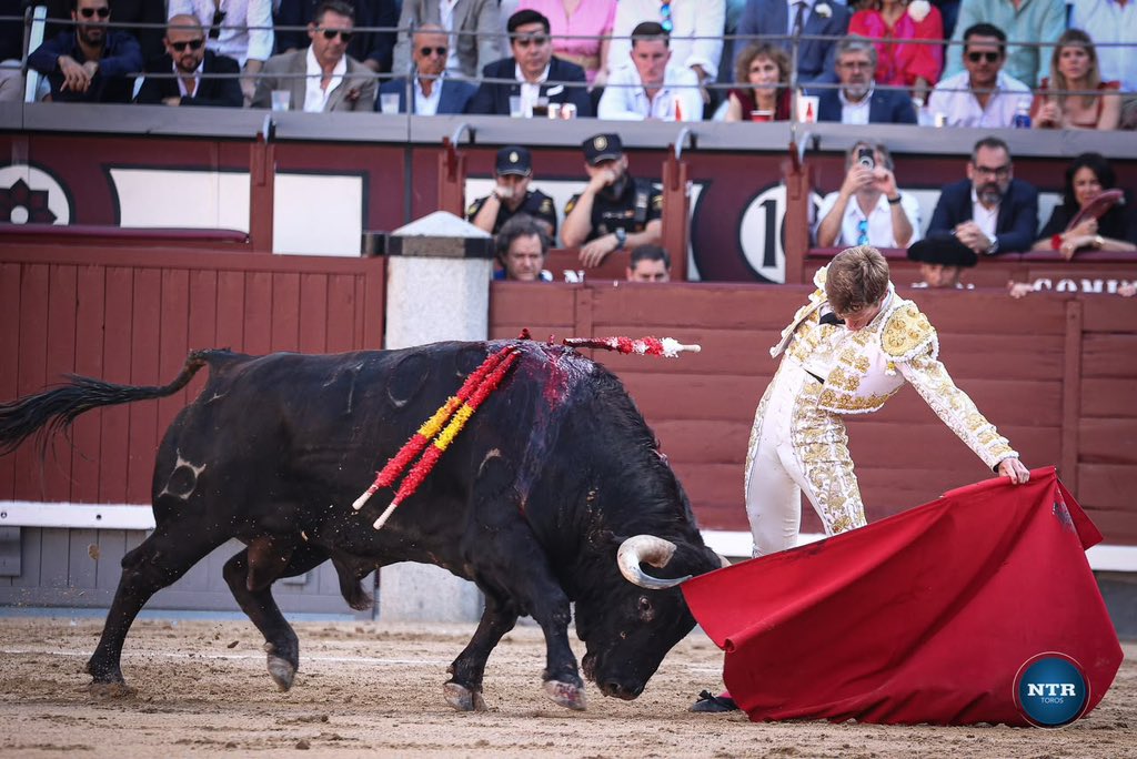 ntrtoros's tweet photo. #𝗠𝗮𝗱𝗿𝗶𝗱 🇪🇸 𝗕𝗢𝗥𝗝𝗔 𝗝𝗜𝗠É𝗡𝗘𝗭 | 𝗣𝗔𝗟𝗠𝗔𝗦

𝗣𝗥𝗜𝗠𝗘𝗥 𝗧𝗢𝗥𝗢 | “𝘊𝘢𝘱𝘶𝘤𝘩ó𝘯”, 𝘥𝘦 𝟧𝟥𝟫 𝘬𝘪𝘭𝘰𝘴, 𝘥𝘦 𝘋𝘰𝘮𝘪𝘯𝘨𝘰 𝘏𝘦𝘳𝘯á𝘯𝘥𝘦𝘻

𝖡𝗈𝗋𝗃𝖺 𝖩𝗂𝗆é𝗇𝖾𝗓 𝖺𝗉𝗈𝗌𝗍ó 𝖿𝗎𝖾𝗋𝗍𝖾 𝖽𝖾𝗌𝖽𝖾 𝖾𝗅 𝗂𝗇𝗂𝖼𝗂𝗈 𝖺𝗅 𝗋𝖾𝖼𝗂𝖻𝗂𝗋 𝖺 “𝖢𝖺𝗉𝗎𝖼𝗁ó𝗇” 𝖺 𝗉𝗈𝗋𝗍𝖺 𝗀𝖺𝗒𝗈𝗅𝖺 𝖿𝗋𝖾𝗇𝗍𝖾 𝖺 𝖼𝗁𝗂𝗊𝗎𝖾𝗋𝗈𝗌, 𝖾𝗇 𝗎𝗇𝖺 𝖺𝖼𝖼𝗂ó𝗇 𝖽𝖾 𝗀𝗋𝖺𝗇 𝖾𝗑𝗉𝗈𝗌𝗂𝖼𝗂ó𝗇 𝗊𝗎𝖾 𝖾𝗌𝗍𝗎𝗏𝗈 𝖼𝖾𝗋𝖼𝖺 𝖽𝖾 𝖼𝗈𝗌𝗍𝖺𝗋𝗅𝖾 𝗎𝗇𝖺 𝖼𝗈𝗀𝗂𝖽𝖺. 𝖣𝖾𝗌𝗉𝗎é𝗌, 𝖿𝗂𝗋𝗆ó 𝗎𝗇𝖺 𝖿𝖺𝖾𝗇𝖺 𝖽𝖾 𝗆é𝗋𝗂𝗍𝗈 𝖺𝗇𝗍𝖾 𝖾𝗅 𝗍𝗈𝗋𝗈 𝖽𝖾 𝖣𝗈𝗆𝗂𝗇𝗀𝗈 𝖧𝖾𝗋𝗇á𝗇𝖽𝖾𝗓, 𝖽𝖾𝗌𝗍𝖺𝖼𝖺𝗇𝖽𝗈 𝖾𝗌𝗉𝖾𝖼𝗂𝖺𝗅𝗆𝖾𝗇𝗍𝖾 𝗉𝗈𝗋 𝖾𝗅 𝗉𝗂𝗍ó𝗇 𝗂𝗓𝗊𝗎𝗂𝖾𝗋𝖽𝗈. 𝖤𝗅 𝖺𝗌𝗍𝖺𝖽𝗈 𝖿𝗎𝖾 𝗉𝖾𝗋𝖽𝗂𝖾𝗇𝖽𝗈 𝖿𝗎𝖾𝗋𝗓𝖺 𝗒 𝗍𝗋𝖺𝗇𝗌𝗆𝗂𝗌𝗂ó𝗇, 𝗅𝗈 𝗊𝗎𝖾 𝖼𝗈𝗇𝖽𝗂𝖼𝗂𝗈𝗇ó 𝖾𝗅 𝗍𝗋𝖺𝗆𝗈 𝖿𝗂𝗇𝖺𝗅 𝖽𝖾 𝗅𝖺 𝗅𝖺𝖻𝗈𝗋. 𝖯𝖺𝗅𝗆𝖺𝗌 𝗉𝖺𝗋𝖺 𝖡𝗈𝗋𝗃𝖺 𝖩𝗂𝗆é𝗇𝖾𝗓.

📸 @mbrionesfoto