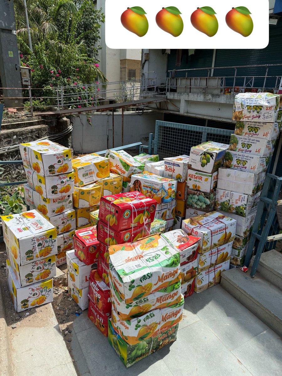 neelang_dave's tweet photo. Our Rudrasaadhak Farms' Kingsly #Kesar #Mango out to complete it's अश्वमेध यज्ञ Conquest to Rule Hearts of Bharatiyas in various states.
🥭🦁
The first picture filled with almost 100 kgs for a Single Client including Love, Respect, Care from the Forests of Talala Gir
🌳
#Organic
#OrganicFarming