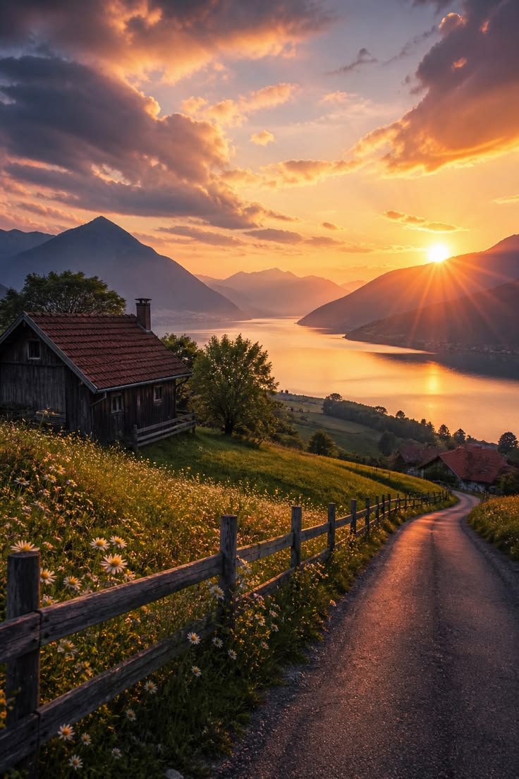 Aleksan52094351's tweet photo. Good evening https://t.co/FHCNT3z6aO
