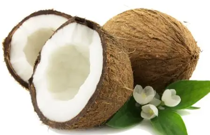 AfricanHub_'s tweet photo. Tanzania is East Africa’s top coconut producer and the second-largest on the entire African continent.

The country harvests around 485,000 tonnes of coconuts every year, making the crop a vital part of its agriculture and rural economy.

The sector provides livelihoods for thousands of farmers and remains a major contributor to food security, commerce, and income generation in Tanzania’s coastal areas.