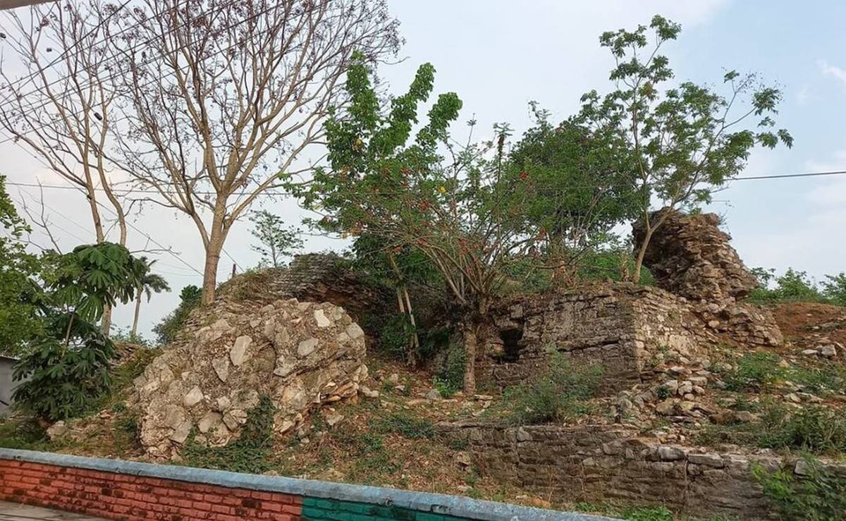 ElUniversalOax's tweet photo. ♦️INAH impugna sentencia que le ordena proteger la zona arqueológica El Castillo en Tuxtepec
https://t.co/2wugDXk2cM https://t.co/DWphYfTsLQ