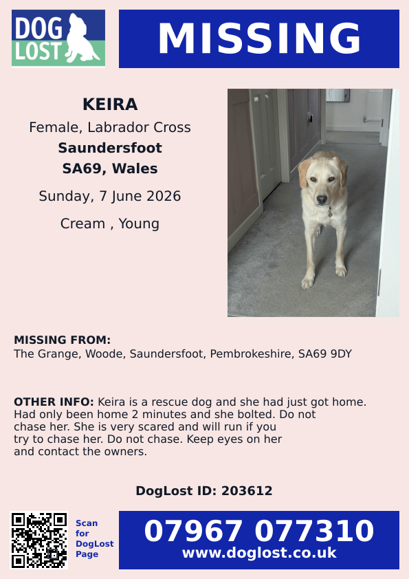 millypod1's tweet photo. 🆘7 JUNE 2026 #Lost KEIRA #ScanMe
YOUNG #RESCUE Labrador Cross Female
The Grange, Wooden #Saundersfoot #Pembrokeshire #SA69 9DY #Wales
https://t.co/L7Bvcn3KeO https://t.co/Jkh2UXR64x