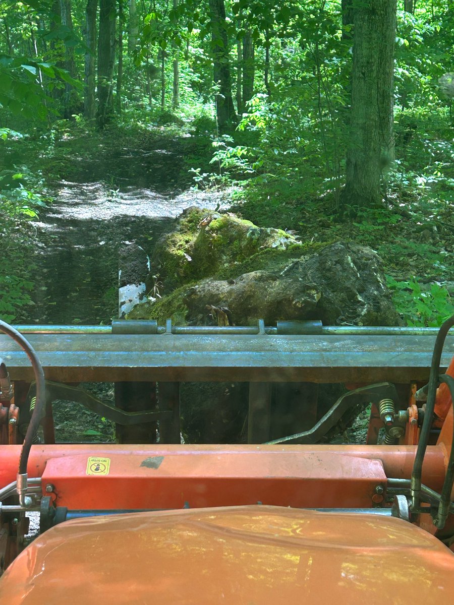 LarryMillerMP's tweet photo. Some before/after pics When Darlin’ says i need rocks I just say how many Then we go scouting bcuz she can’t trust my judgement When she finds the “right” ones then the gofer (that’s me) takes tractor &amp; bring them to the queen These 2 beauties were lined up together in the bush https://t.co/0c0BNrSqPo