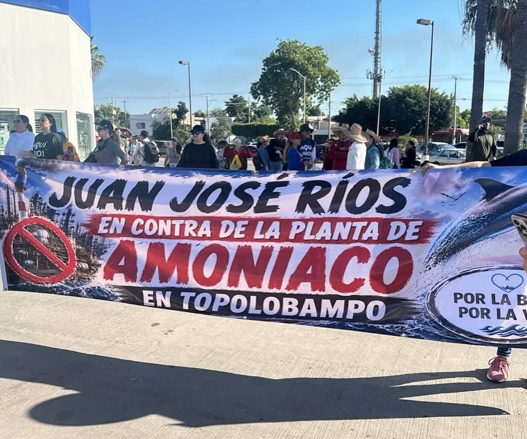 ArturoG89917813's tweet photo. Sin acarreo, sin gobierno y sin miedo: La movilización contra la planta de amoniaco en Topolobampo, Ahome, Sinaloa

Hay marchas que se llenan con camiones, listas de asistencia y operadores políticos. Y hay marchas que se llenan de ciudadanos,
Aún estando el gobierno en contra. https://t.co/jtYQUoEPTC