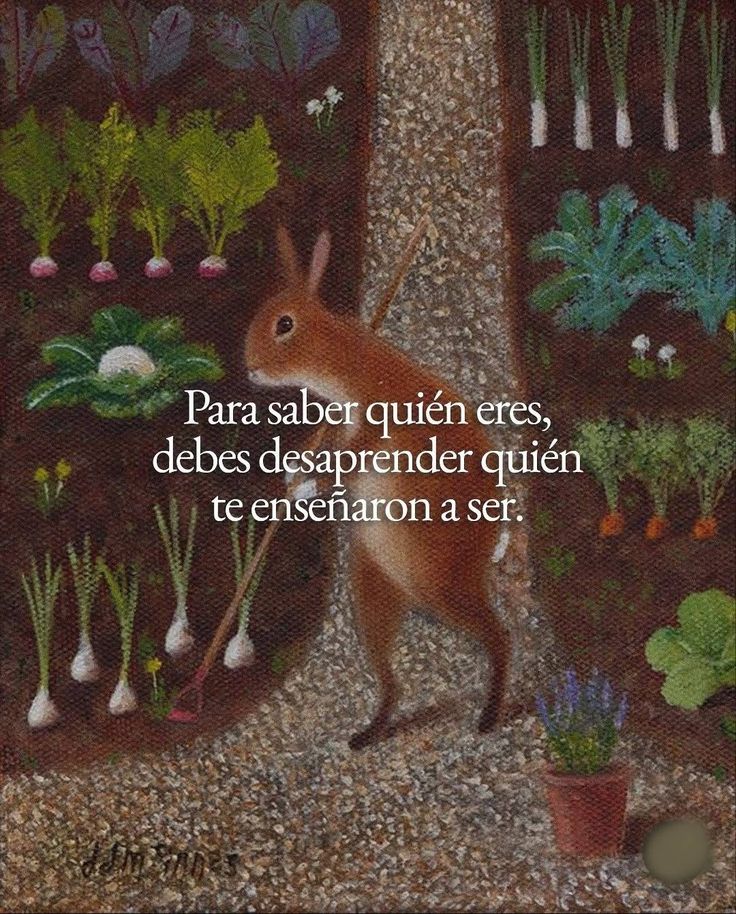 ecosdeluniverso's tweet photo. https://t.co/x5qBUa6Q0e